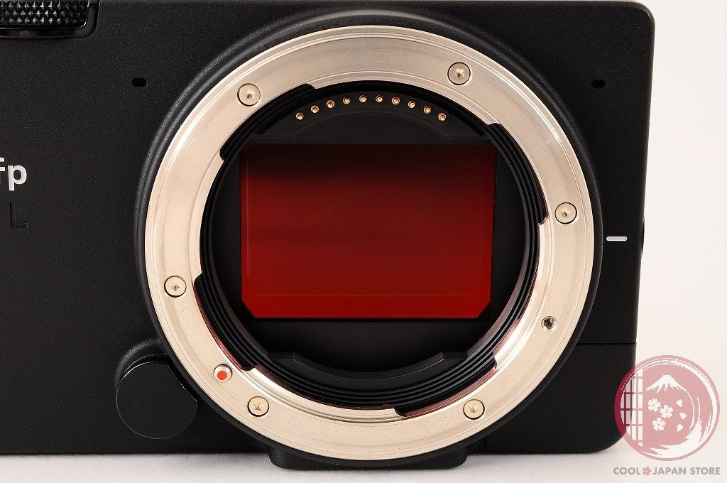 DDU [TOP MINT in Box] SIGMA fp L 61MP Full Frame Mirrorless Digital Cg59