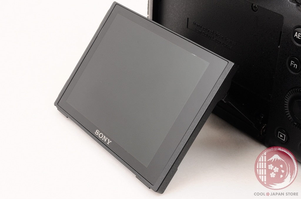 English OK [MINT in Box] Sony RX10 III DSC-RX10M3 from Japan Ck89