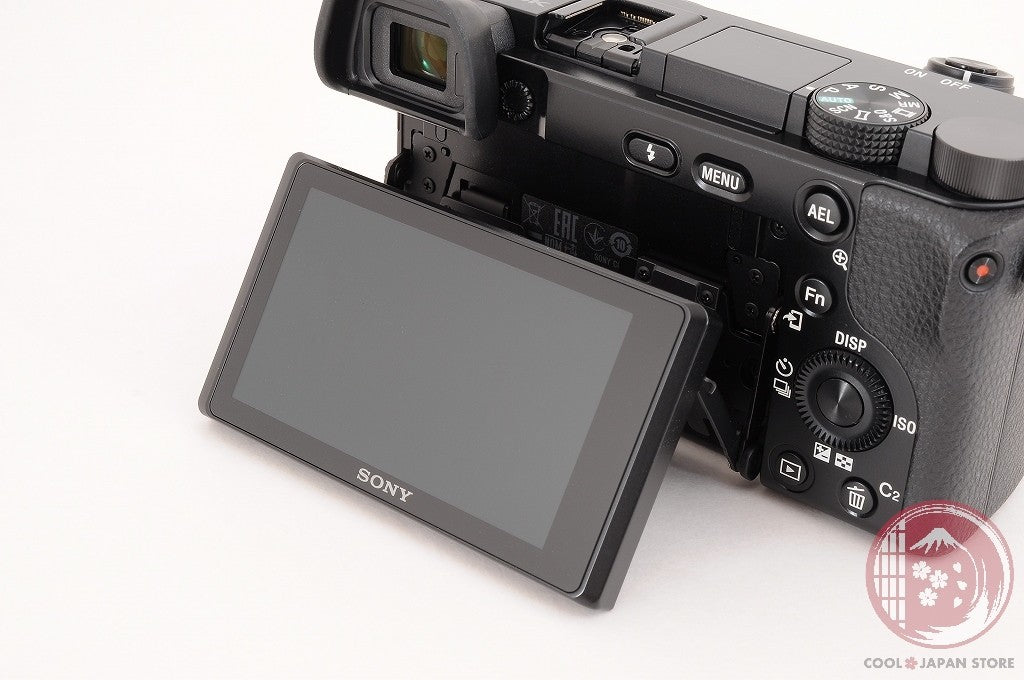 [ 3938 shots TOP MINT in Box ] Sony Alpha a6100 Mirrorless Digital Camera Ci94