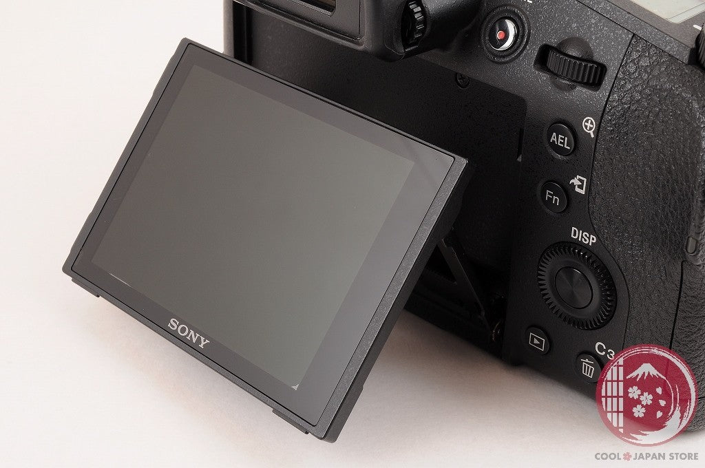[MINT w/ Filter in Box] Sony RX10 III DSC-RX10M3 from Japan Cl67