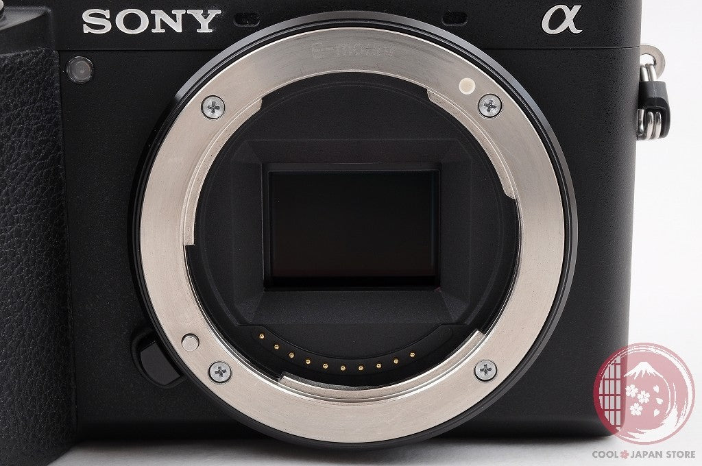 Unlock Languages [ 17570 shots MINT+ in Box ] Sony A6600 ilce-6600 Japan Cm56