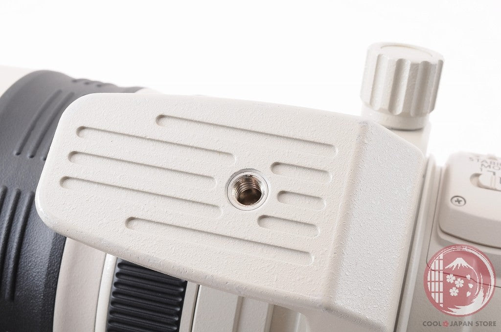 DDU [MINT+ w/ Hood Filter] Canon EF 28-300mm f/3.5-5.6 L IS USM Japan Lt47