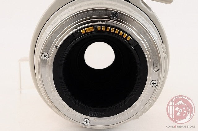[MINT w/Filter in Box] Canon EF 100-400mm f/4.5-5.6 L IS USM from Japan Lv85