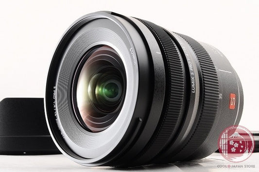 [TOP MINT w/ Hood Caps] Panasonic LUMIX S 16-35mm f/4 PRO from Japan Lv92