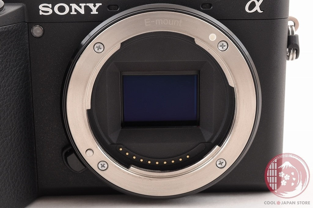 DDU[ 1869 shots MINT+ in Box ] Sony A6600 from Japan Ci55