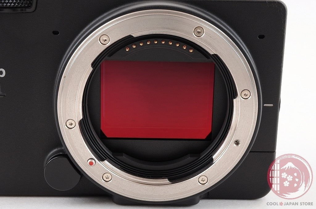 READ[MINT+ in Box] SIGMA fp L 61MP Full Frame Mirrorless Digital Camera Cm55
