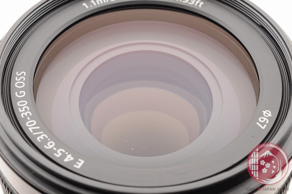 [TOP MINT w/Hood Caps] Sony E 70-350mm f/4.5-6.3 G OSS SEL70350G from Japan Lt31