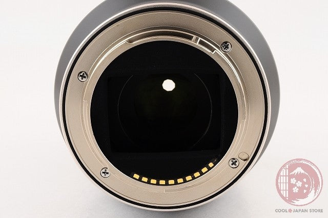 [TOP MINT w/ Filter in Box]Tamron 17-70mm f/2.8 Di iii-A VC RXD SONY Japan Lv55