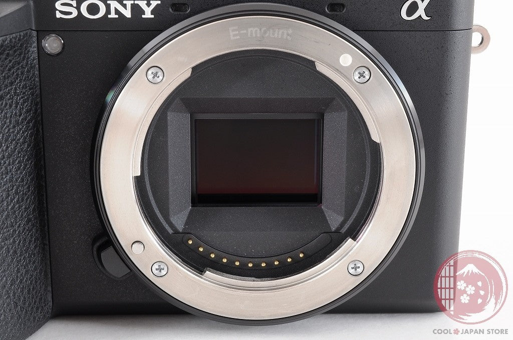 DDU Unlock Languages [ 10308 shots MINT+ in Box ] Sony A6600 ilce-6600 Cj02