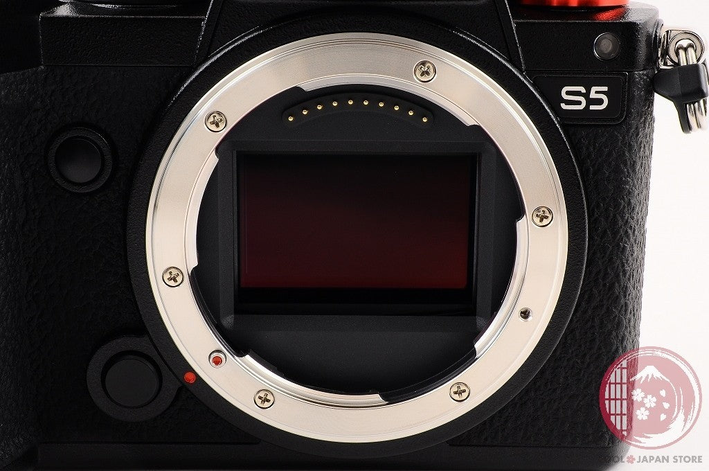 [ 3843 shots TOP MINT in Box ] Panasonic DC S5 Mirrorless Digital Camera Ci17
