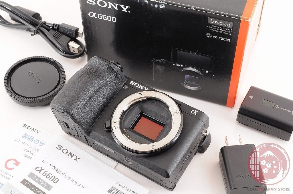 DDU Unlock Languages [ 10308 shots MINT+ in Box ] Sony A6600 ilce-6600 Cj02