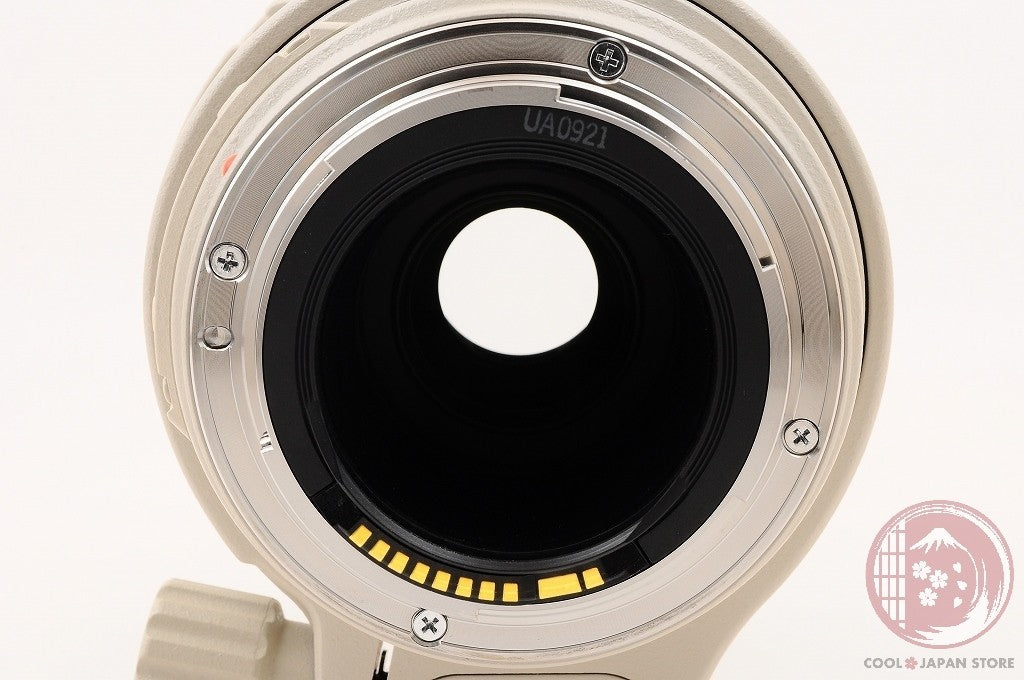 [TOP MINT in Box] Canon EF 100-400mm f/4.5-5.6 L IS USM from Japan Lv86