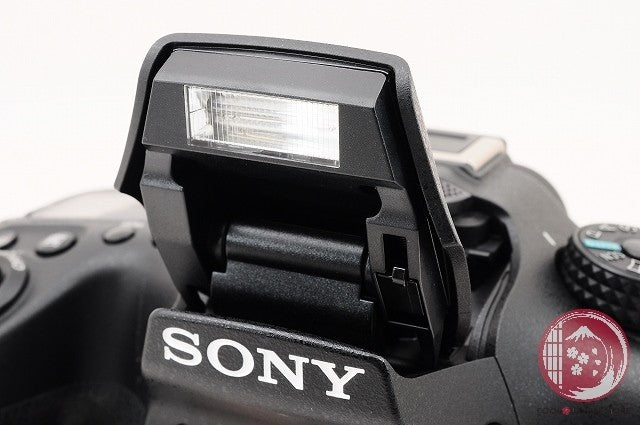 [ 4195 shots MINT+ in Box ] Sony Alpha a77 II ILCA-77M2 Body Black Japan Ck47