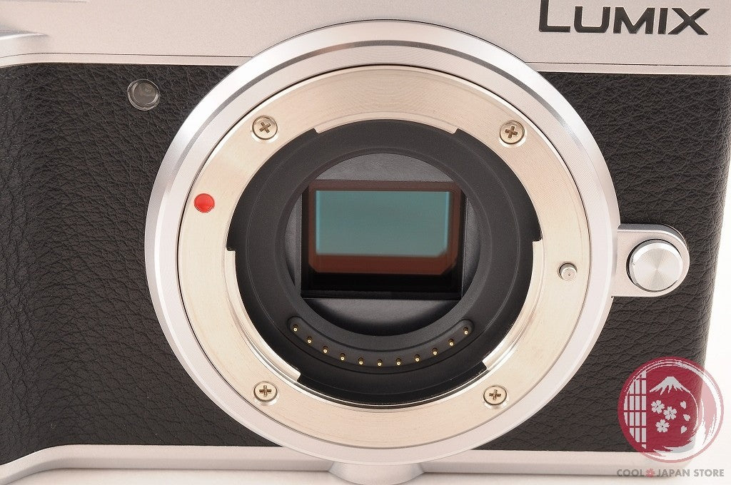 English OK [ 3531 shots MINT in Box ] Panasonic DC GX7MK3 GX9 Japan Ci59