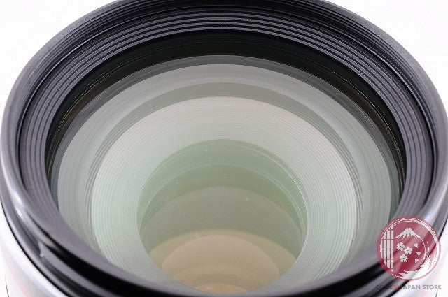 [MINT w/Filter in Box] Canon EF 100-400mm f/4.5-5.6 L IS USM from Japan Lv85