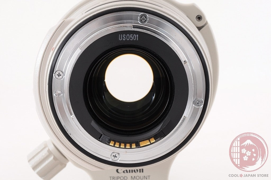 DDU [MINT+ w/ Hood Filter] Canon EF 28-300mm f/3.5-5.6 L IS USM Japan Lt47