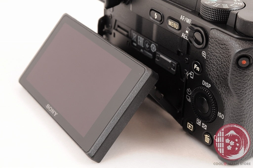 English OK [ 21555 shots MINT in Box ] Sony A6400 from Japan Cl44