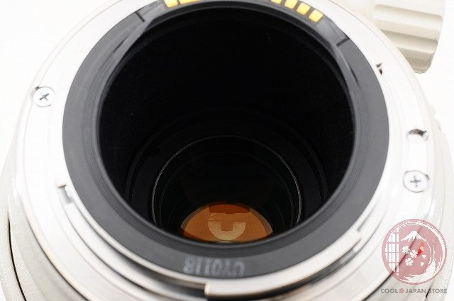 [MINT w/Filter in Box] Canon EF 100-400mm f/4.5-5.6 L IS USM from Japan Lv85