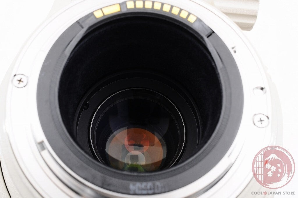 [MINT w/ Filter in Box] Canon EF 100-400mm f/4.5-5.6 L IS USM from Japan Lq62