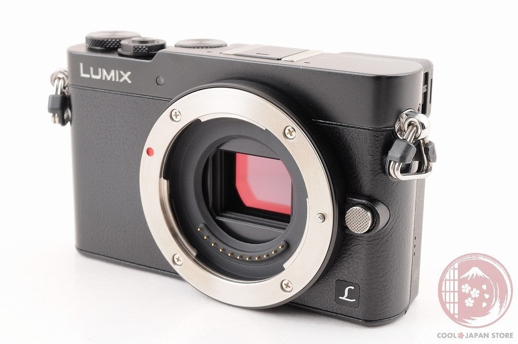 English OK  [ 15852 shots MINT+ w/ Charger Cable ] Panasonic DMC GM5 black Cl51