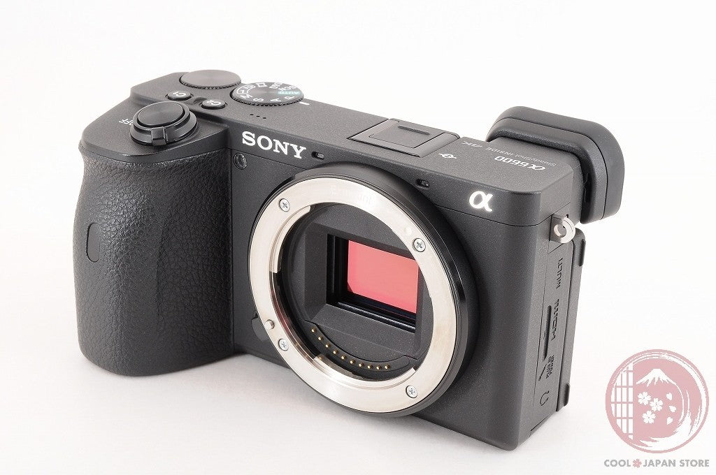 DDU Unlock Languages [ 10308 shots MINT+ in Box ] Sony A6600 ilce-6600 Cj02