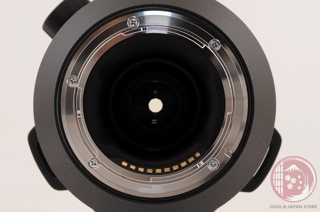 [MINT+ in Box] Sigma 150-600mm f/5-6.3 DG DN OS Sports SONY from Japan Ls06