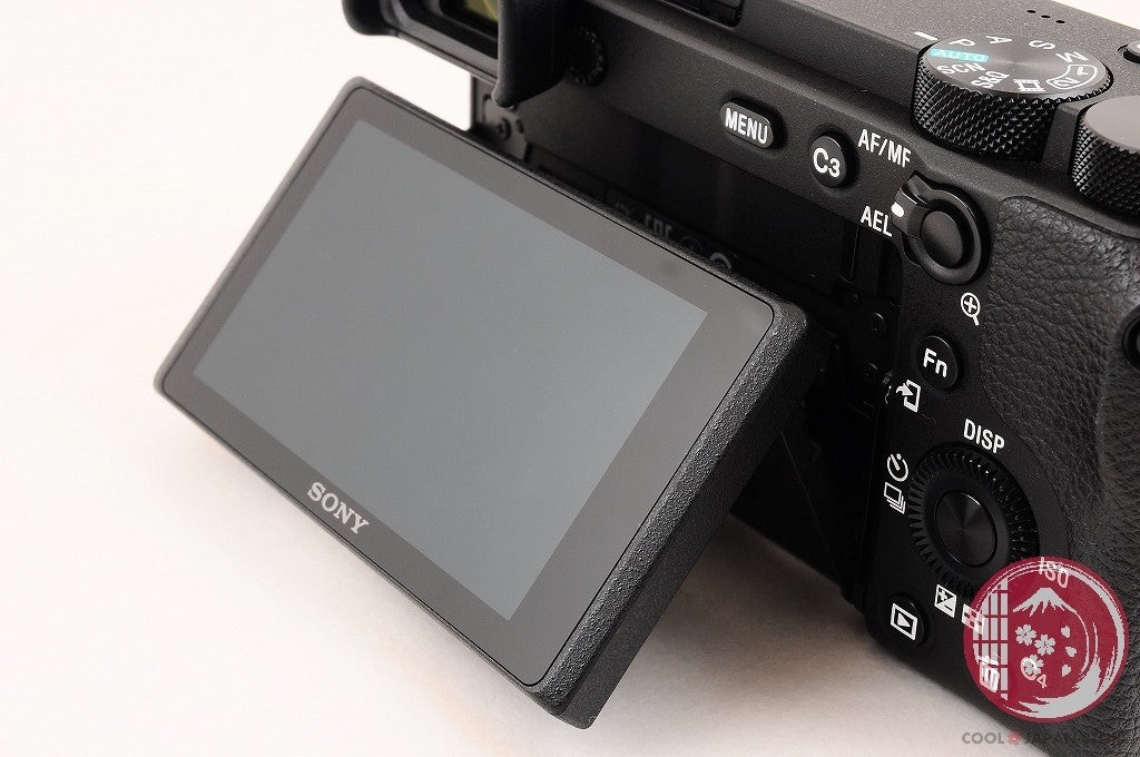 Unlock Languages [ 39778 shots TOP MINT in Box ] Sony A6600 ilce-6600 Japan Cl03
