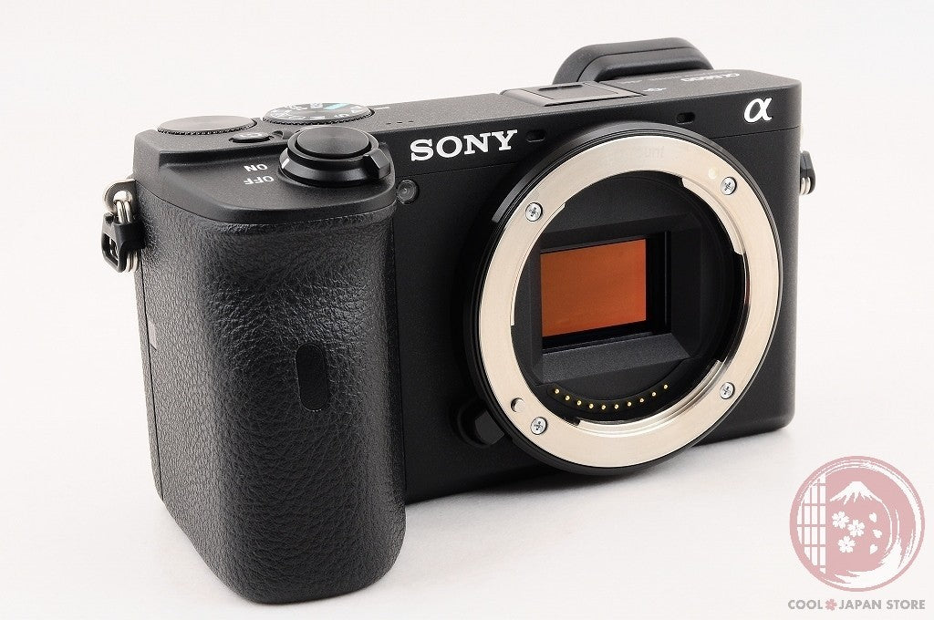 Unlock Languages [ 39778 shots TOP MINT in Box ] Sony A6600 ilce-6600 Japan Cl03