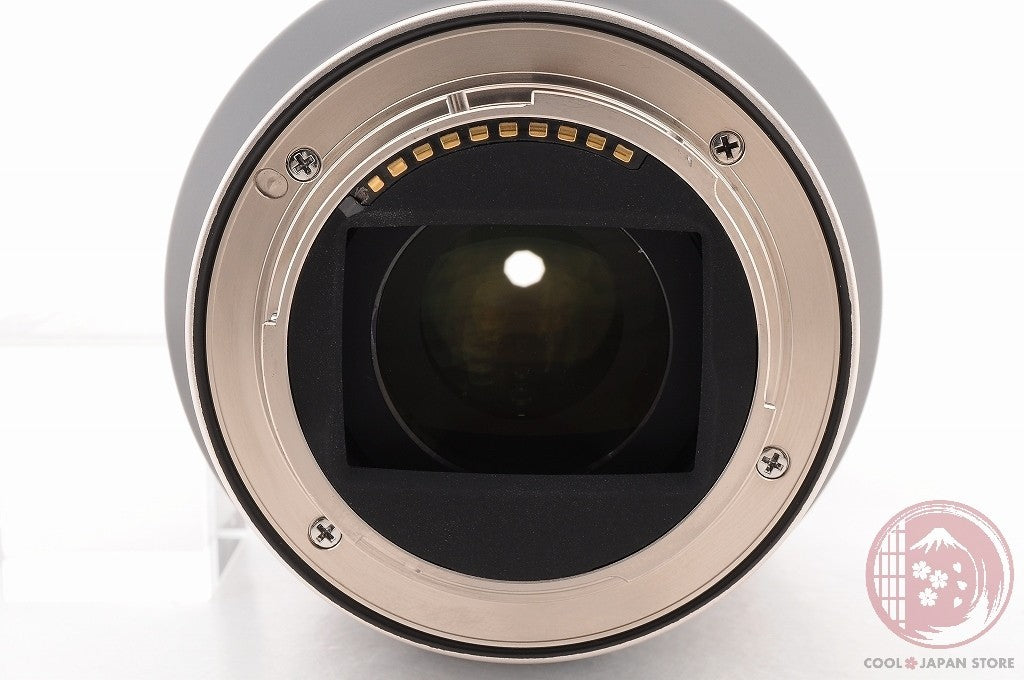 [TOP MINT w/ Caps] Tamron 17-70mm f/2.8 Di iii-A VC RXD SONY from Japan Lu12