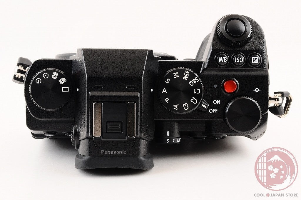 [ 3843 shots TOP MINT in Box ] Panasonic DC S5 Mirrorless Digital Camera Ci17