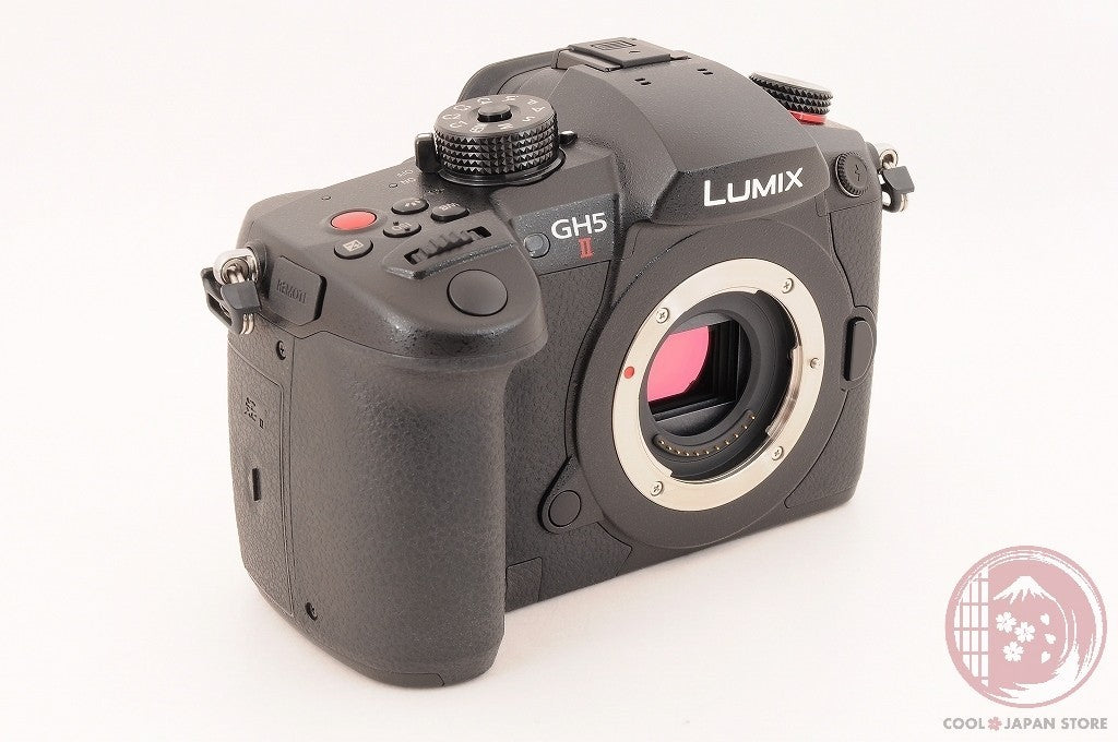 [ 4906 shots TOP MINT in Box ] Panasonic LUMIX DC GH5 II DC-GH5 from Japan Ci44