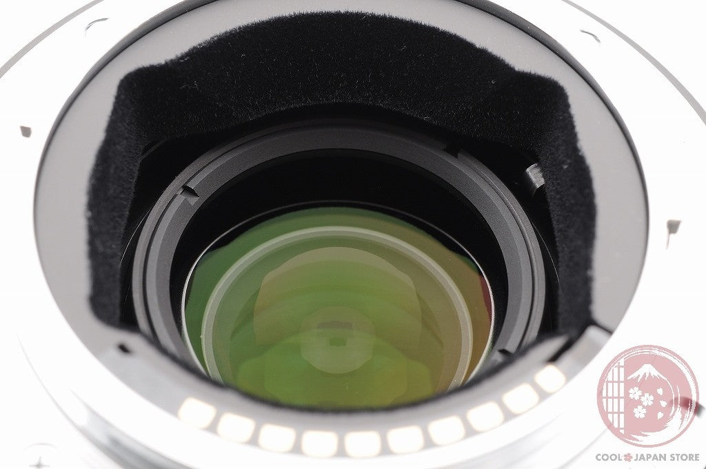[MINT w/Hood Caps] Voigtlander APO LANTHAR 65mm f/2 MACRO SONY from Japan Lt05