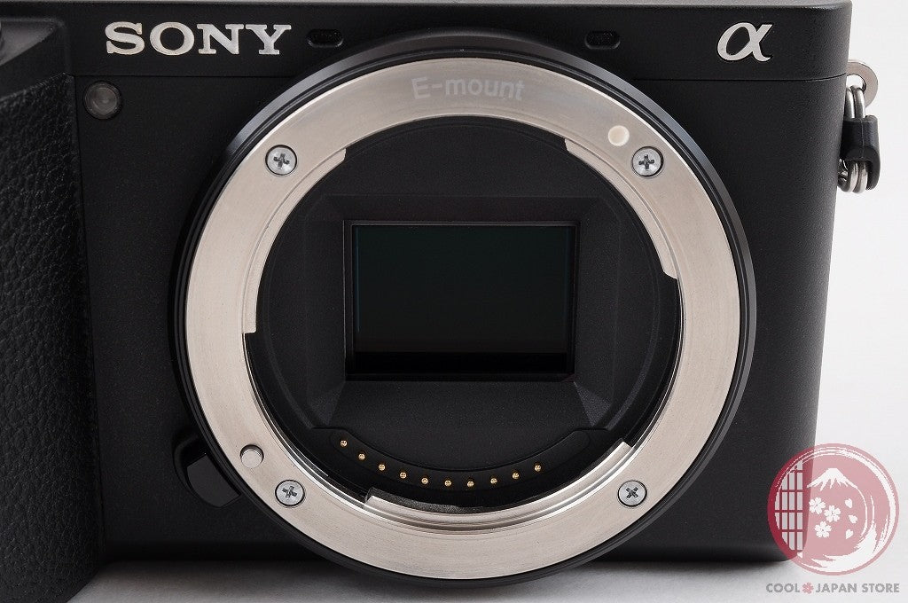 Unlock Languages [ 5988 shots TOP MINT in Box ] Sony A6600 ilce-6600 Japan Cl66