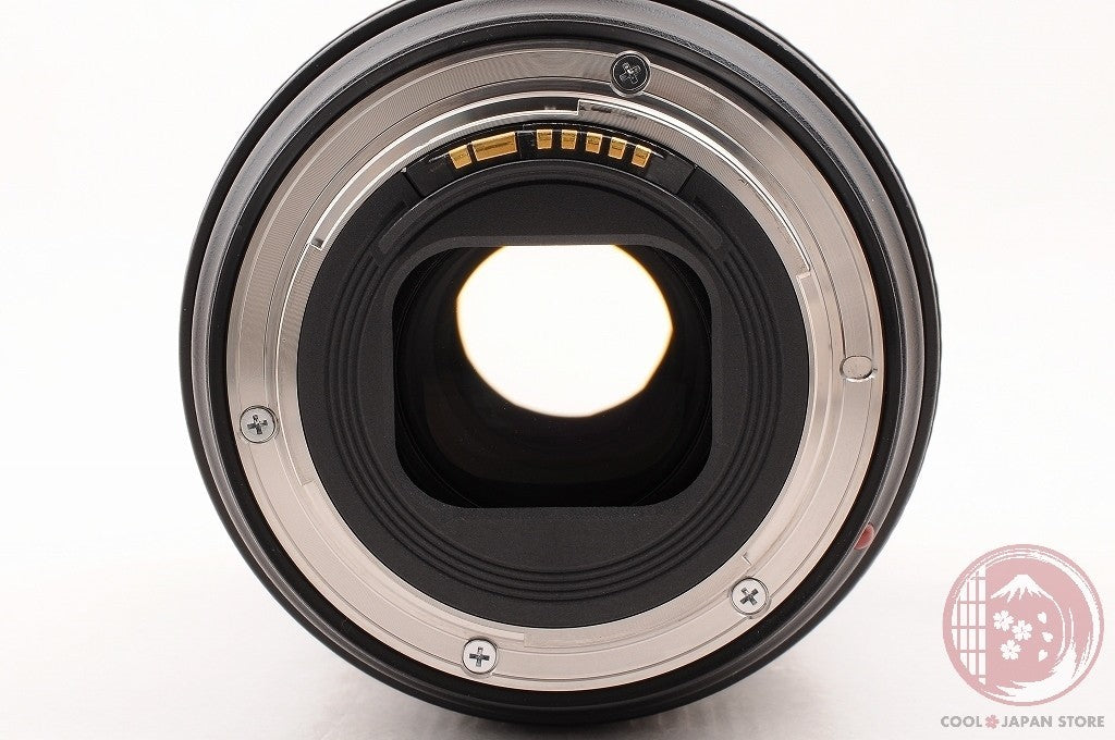 [MINT+ w/ Hood Pouch] Canon EF 24-105mm f/4 L II IS USM from Japan Ly60