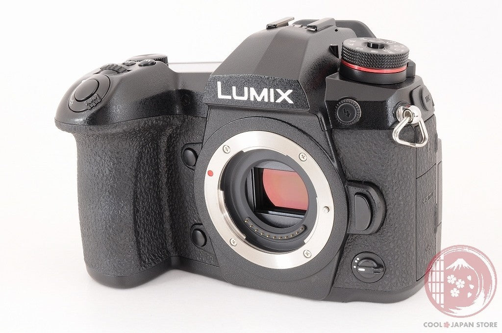 [ 11650 shots TOP MINT in Box ] Panasonic LUMIX DC-G9 DCG9 PRO from Japan Cj14