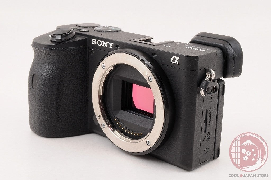 Unlock Languages [ 17570 shots MINT+ in Box ] Sony A6600 ilce-6600 Japan Cm56
