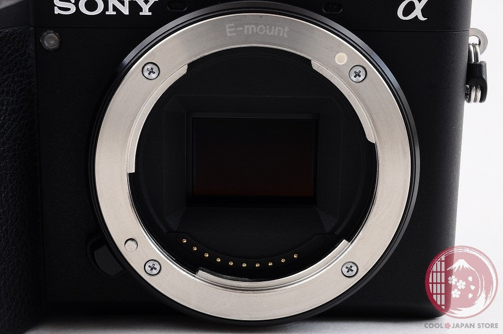 Unlock Languages [ 39778 shots TOP MINT in Box ] Sony A6600 ilce-6600 Japan Cl03