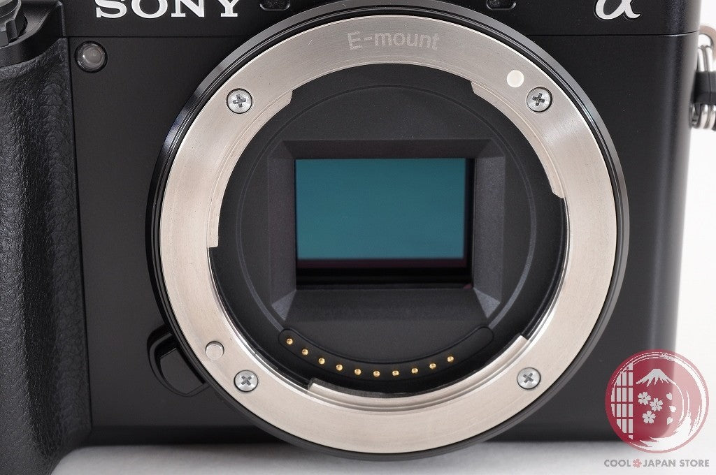 [ 3938 shots TOP MINT in Box ] Sony Alpha a6100 Mirrorless Digital Camera Ci94