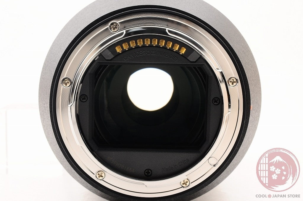 [MINT+ in Box] Panasonic LUMIX 24-105mm f/4 Macro O.I.S. from Japan Lw22