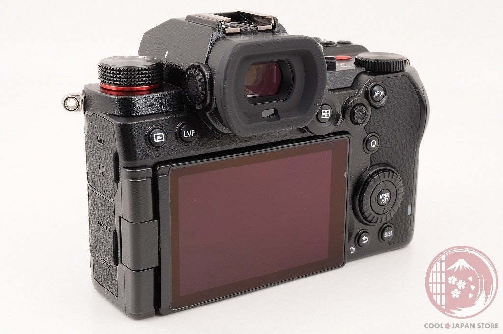 [ 9706 shots MINT+ in Box ] Panasonic DC S5 Mirrorless Digital Camera Cl71